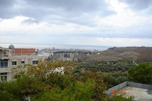 MiehwMieh